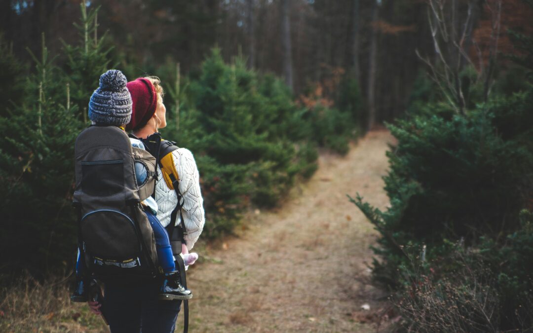 Vandring i Grövelsjön – en guide till fjällupplevelser i världsklass