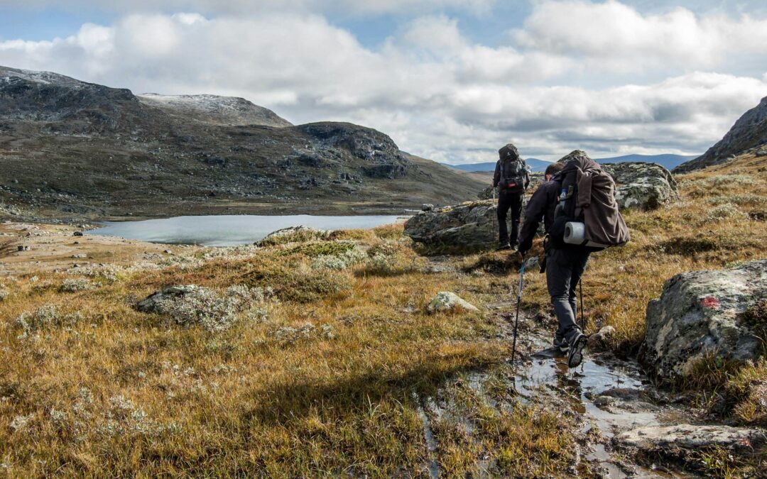 Bästa vandringslederna i Sverige – guide till naturens höjdpunkter