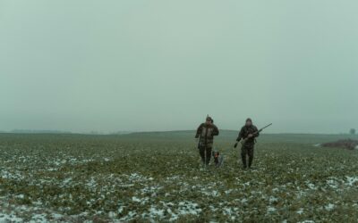 Jaktlicens i Sverige – regler, kostnader och tips för att komma igång